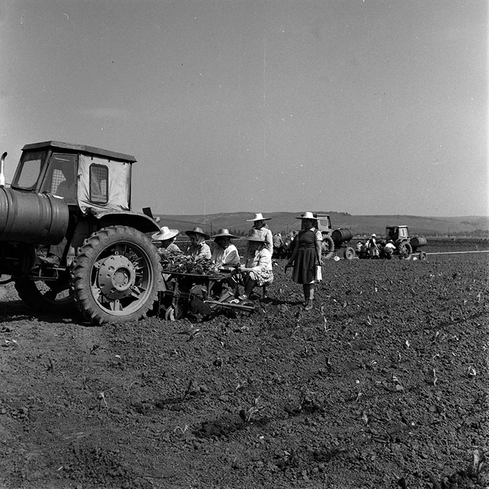 minerva_1970_Agrare_c1_c9r3_008