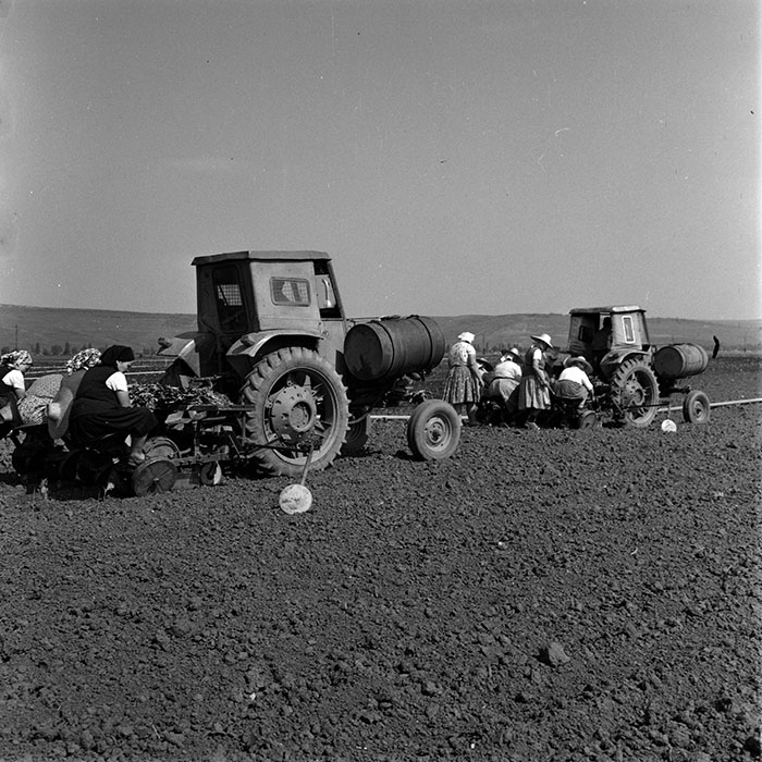 minerva_1970_Agrare_c1_c9r3_009