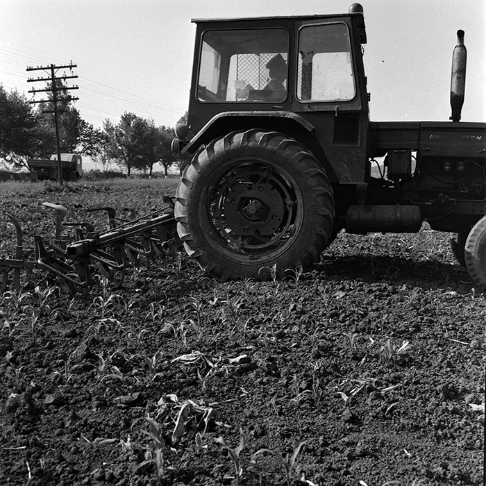 minerva_1970_Agrare_c1_c9r3_012