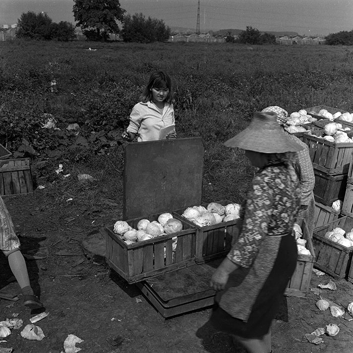 minerva_1970_Agrare_c1_c9r3_015