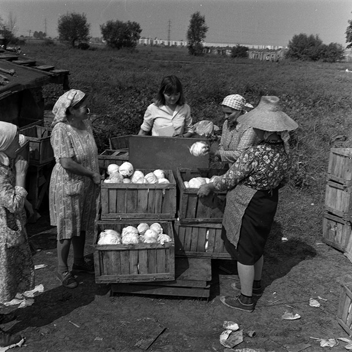 minerva_1970_Agrare_c1_c9r3_016