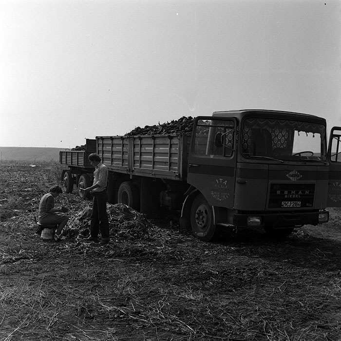 minerva_1970_Agrare_c1_c9r3_017