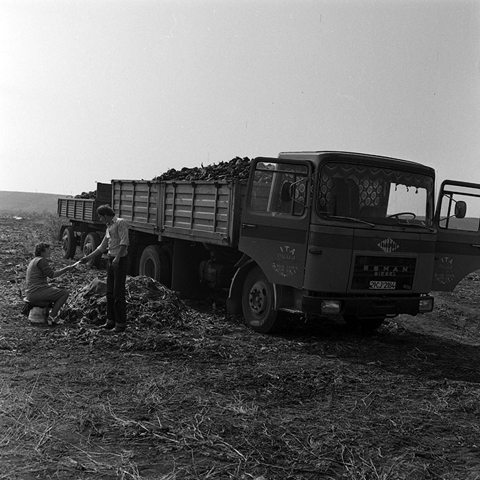 minerva_1970_Agrare_c1_c9r3_018