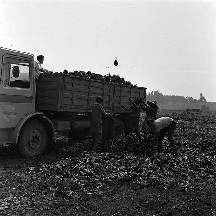 minerva_1970_Agrare_c1_c9r3_020