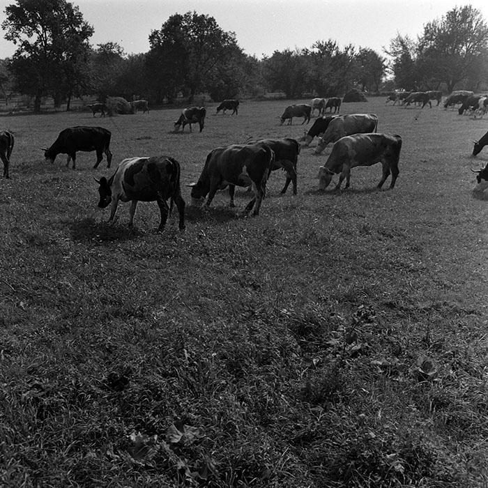 minerva_1970_Agrare_c1_c9r3_023