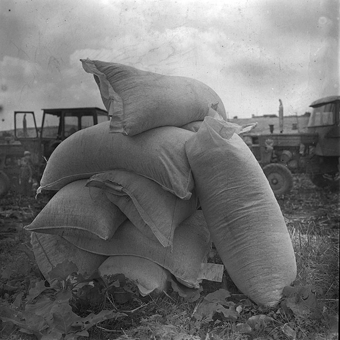 minerva_1970_Agrare_c1_c9r4_001