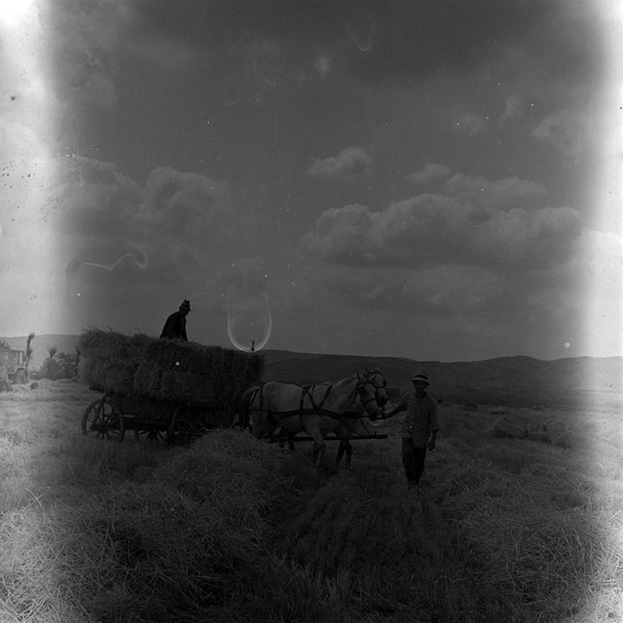 minerva_1970_Agrare_c1_c9r4_005