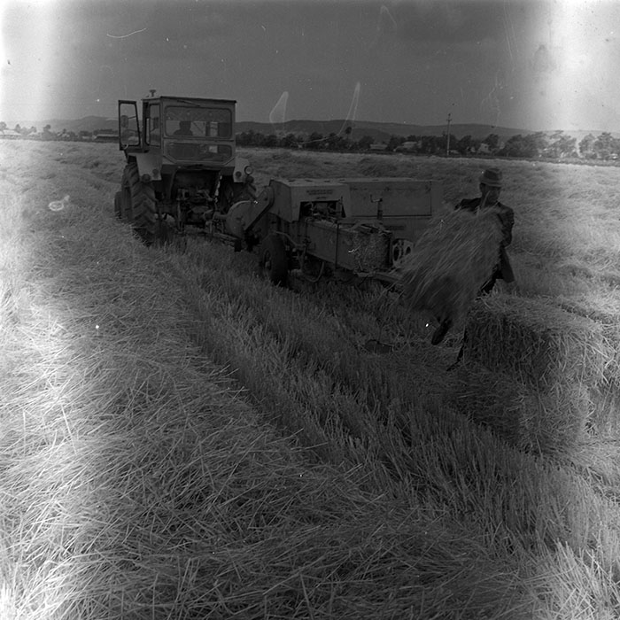 minerva_1970_Agrare_c1_c9r4_006