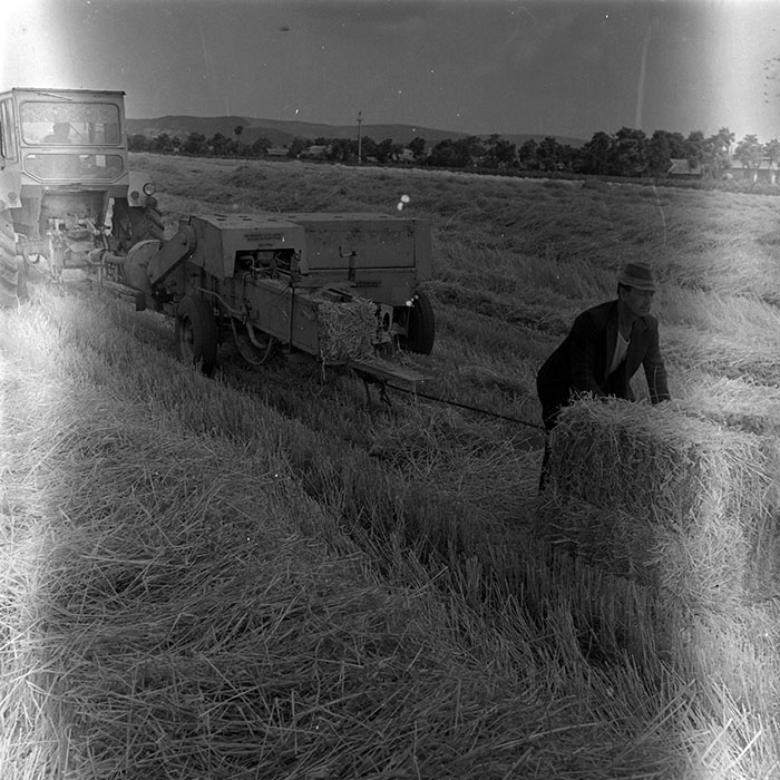 minerva_1970_Agrare_c1_c9r4_007