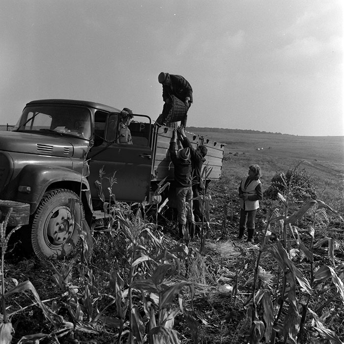 minerva_1970_Agrare_c1_c9r5_004