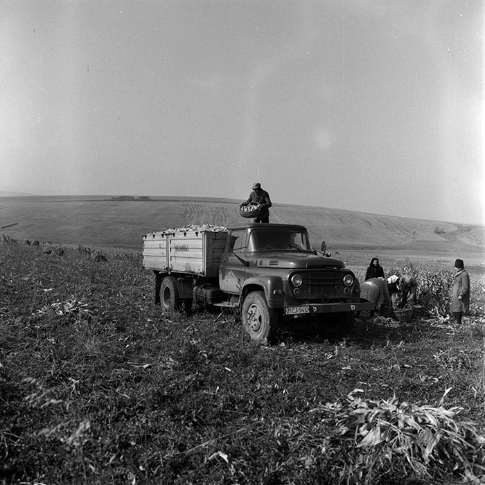 minerva_1970_Agrare_c1_c9r5_006