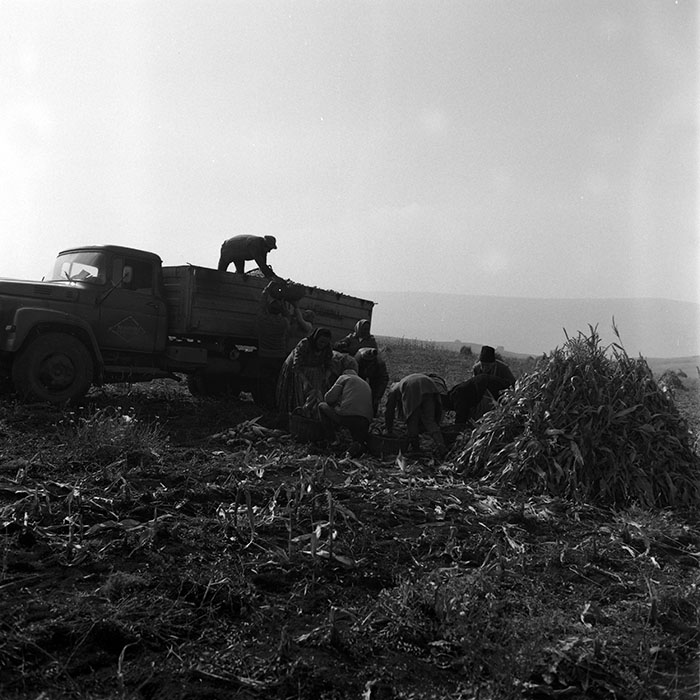 minerva_1970_Agrare_c1_c9r5_007