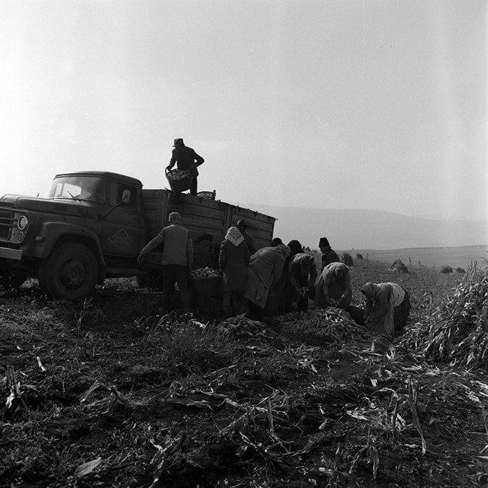 minerva_1970_Agrare_c1_c9r5_008