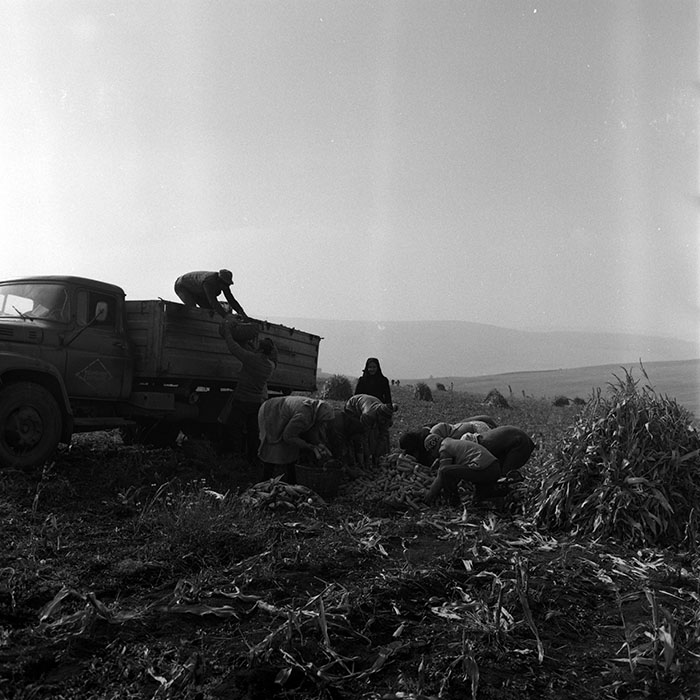 minerva_1970_Agrare_c1_c9r5_009