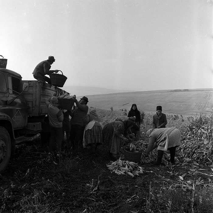 minerva_1970_Agrare_c1_c9r5_010