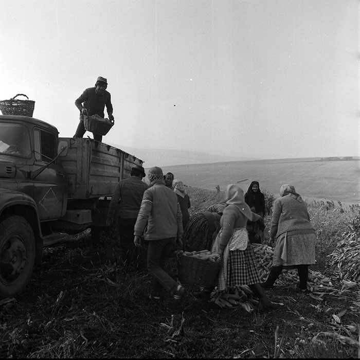 minerva_1970_Agrare_c1_c9r5_011