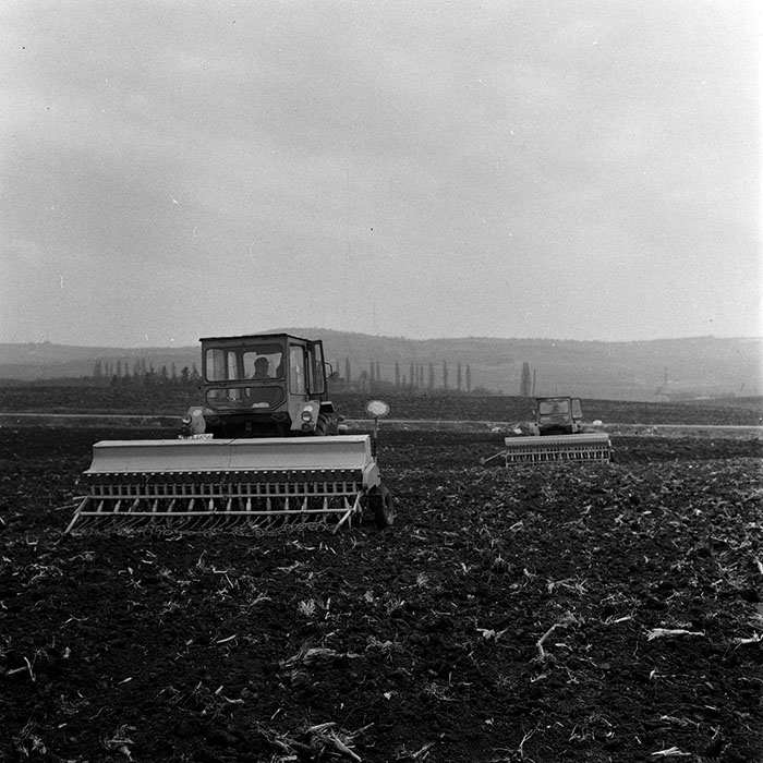 minerva_1970_Agrare_c1_c9r5_012