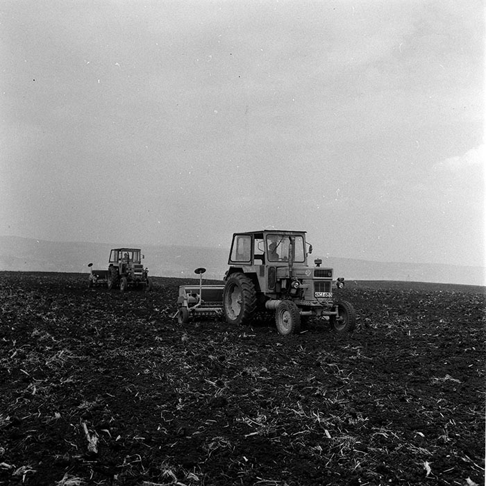 minerva_1970_Agrare_c1_c9r5_016