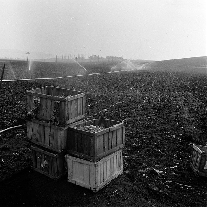 minerva_1970_Agrare_c1_c9r5_018