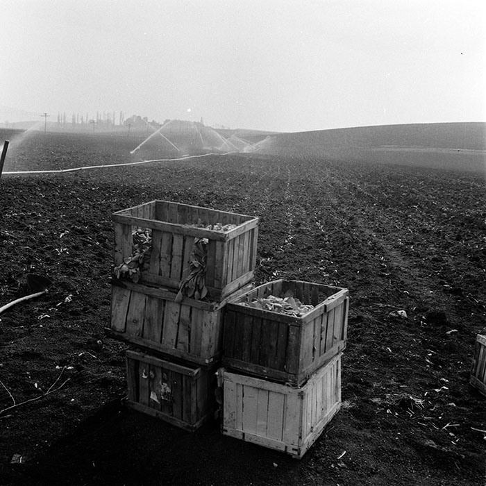 minerva_1970_Agrare_c1_c9r5_019