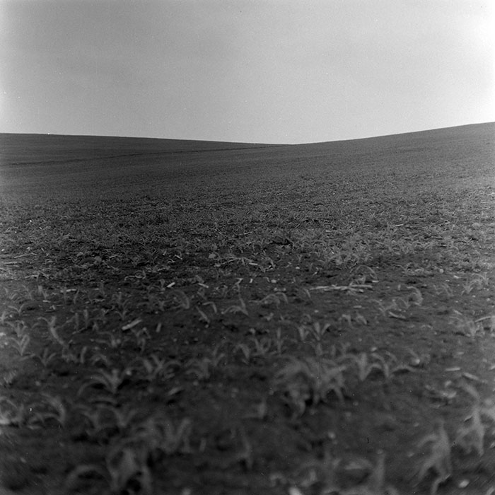 minerva_1971_c3_c1r3_004