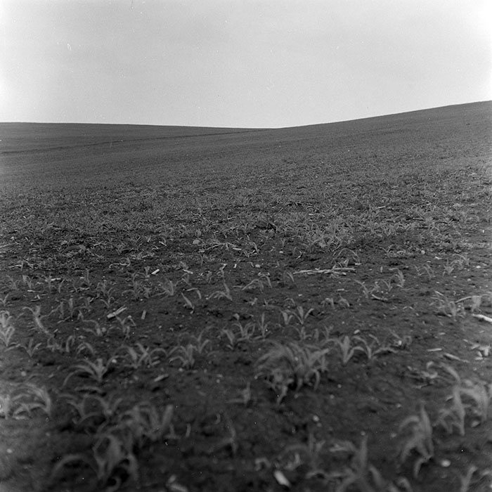 minerva_1971_c3_c1r3_005