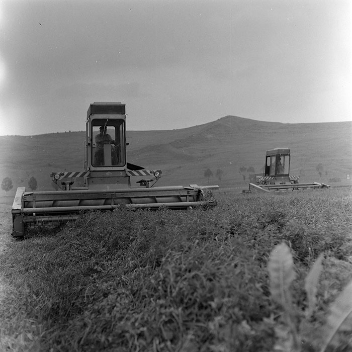 minerva_1971_c3_c1r3_006