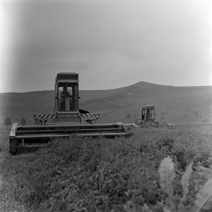 minerva_1971_c3_c1r3_007