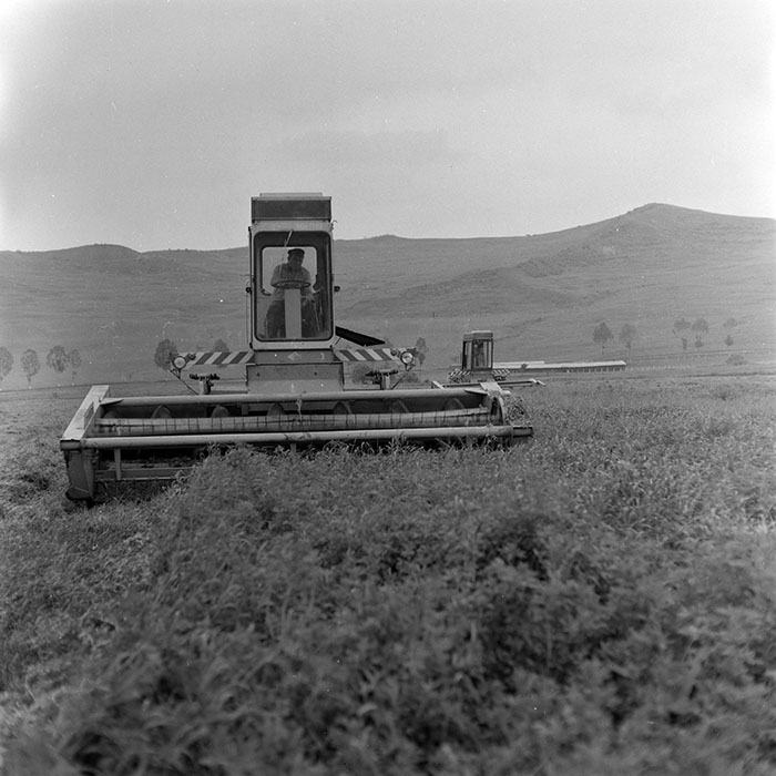 minerva_1971_c3_c1r3_008