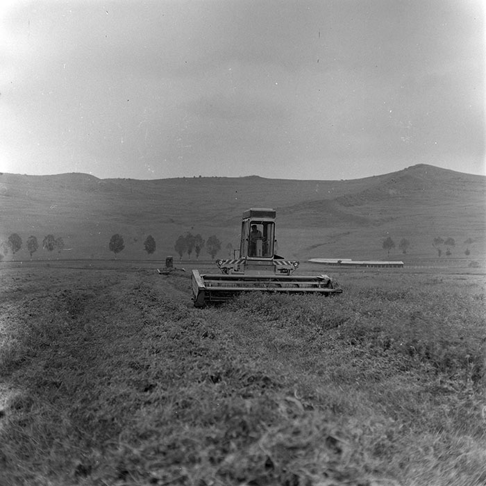 minerva_1971_c3_c1r3_012