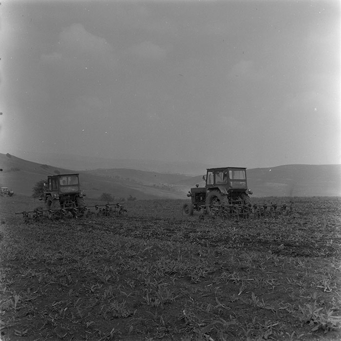 minerva_1971_c3_c1r5_001