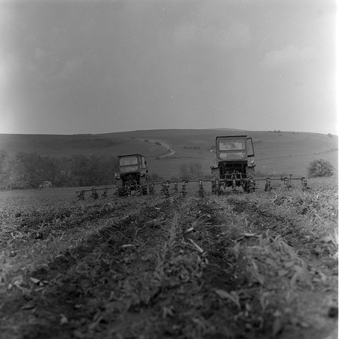 minerva_1971_c3_c1r5_002