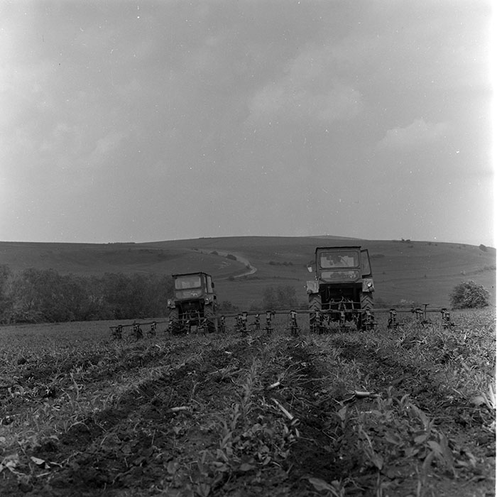 minerva_1971_c3_c1r5_003