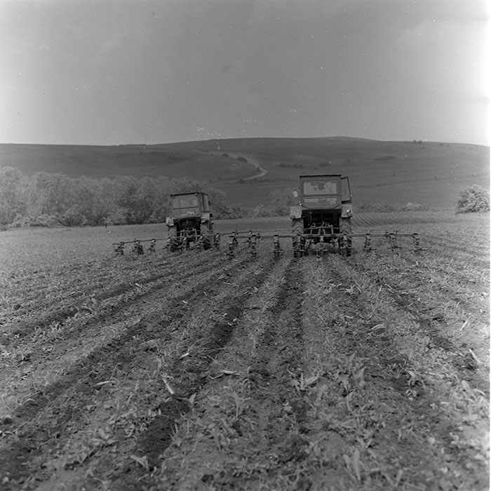 minerva_1971_c3_c1r5_004