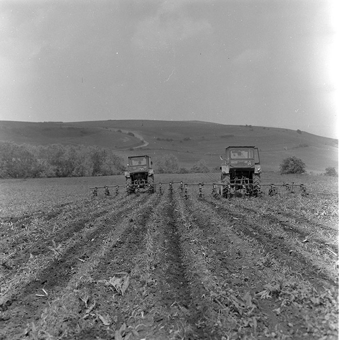 minerva_1971_c3_c1r5_005