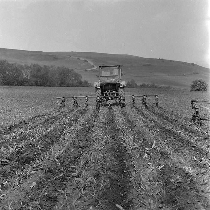 minerva_1971_c3_c1r5_006