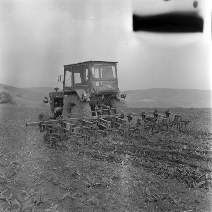 minerva_1971_c3_c1r5_007