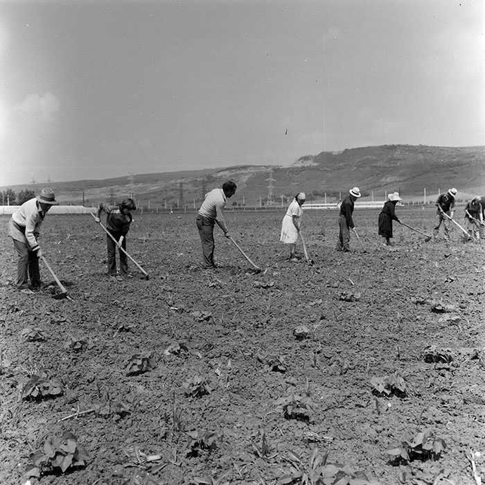 minerva_1971_c3_c2r2_006