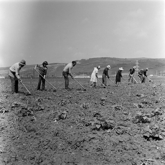 minerva_1971_c3_c2r2_007