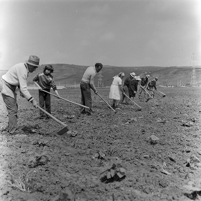 minerva_1971_c3_c2r2_009