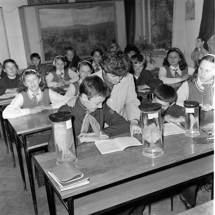 minerva_1971_c3_c2r3_006