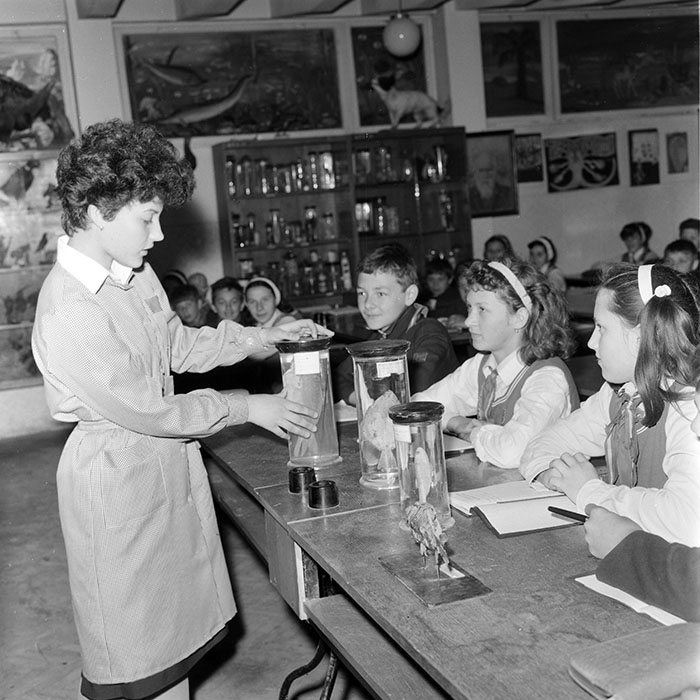 minerva_1971_c3_c2r3_007