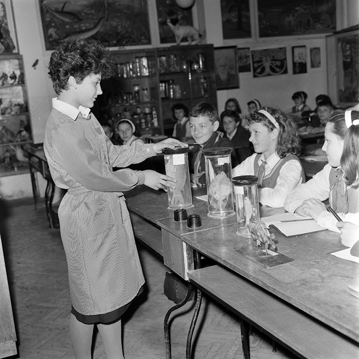 minerva_1971_c3_c2r3_008