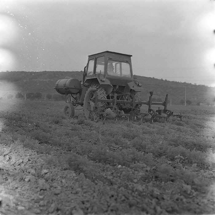 minerva_1971_c3_c2r5_001