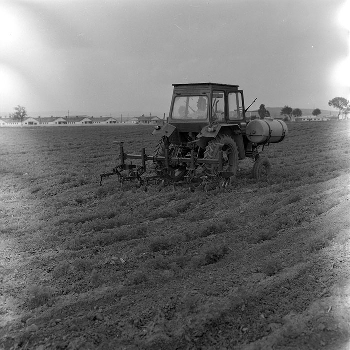 minerva_1971_c3_c2r5_002