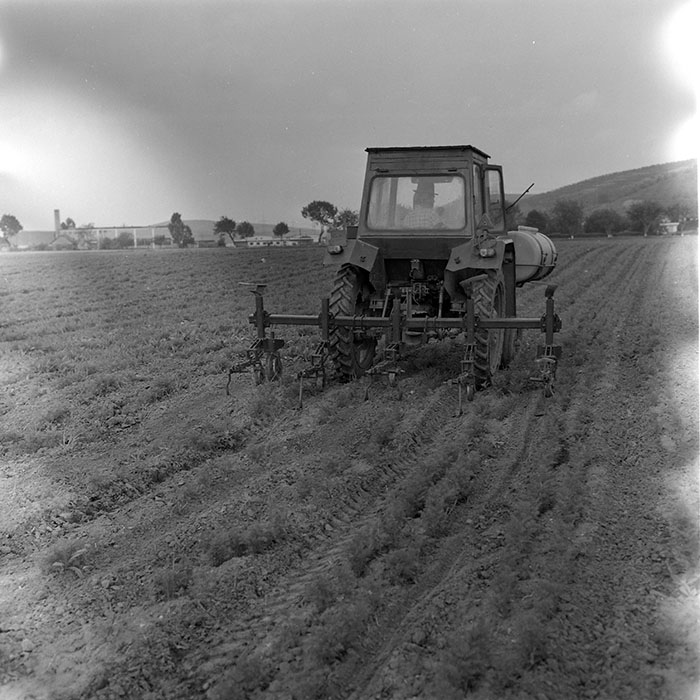 minerva_1971_c3_c2r5_003