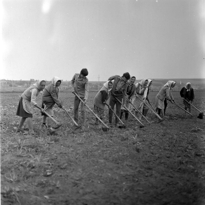 minerva_1971_c3_c3r1_007