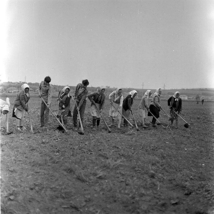 minerva_1971_c3_c3r1_009