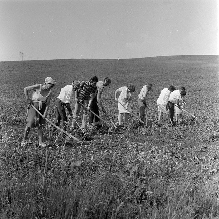 minerva_1971_c3_c3r1_017