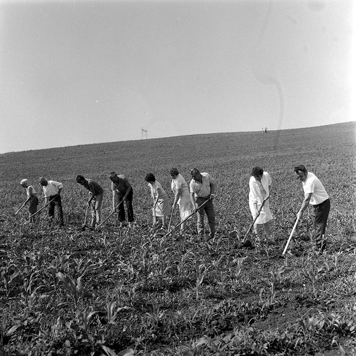 minerva_1971_c3_c3r1_020